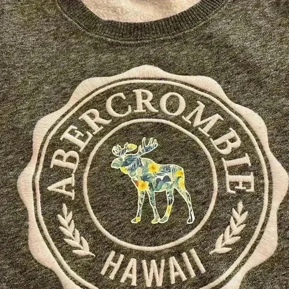 Abercrombie Kids Hawaii Embroidered Logo Gray 13-14 kid, adult xs-s - Picture 2 of 8